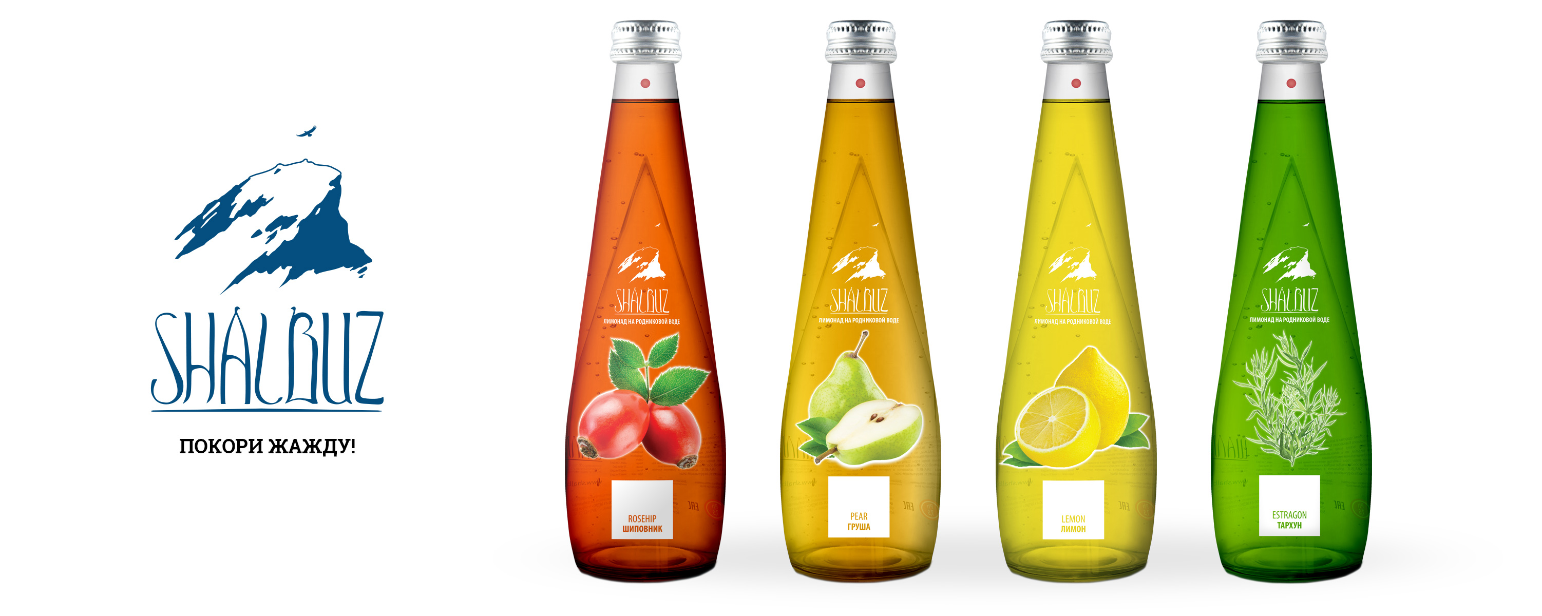 дизайн-оформление бутылки для лимонадов